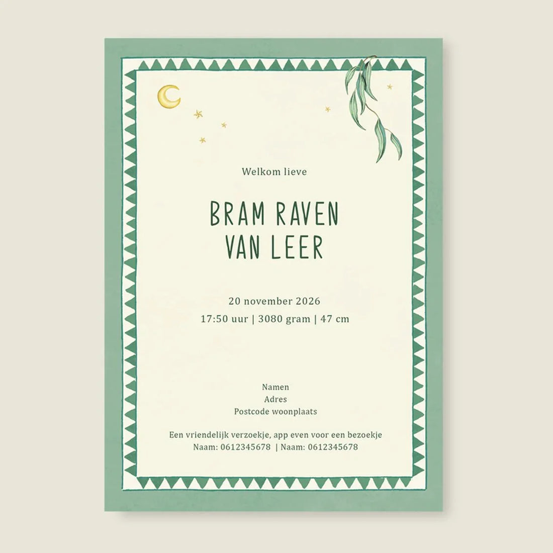 Geboortekaartje Basket Balloon Lightgreen - Story of July