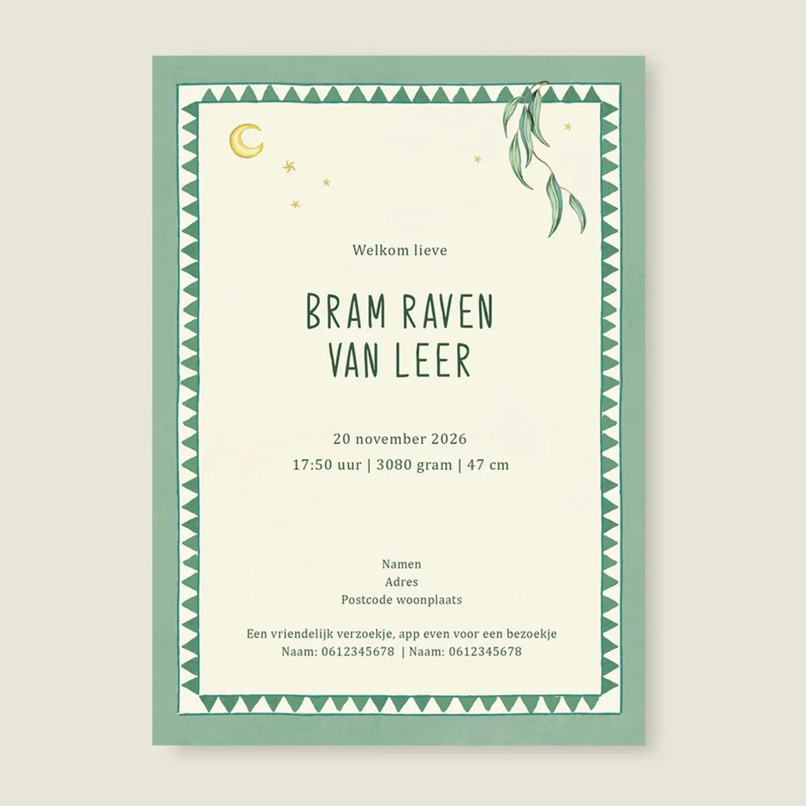 Geboortekaartje Basket Balloon Lightgreen - Story of July