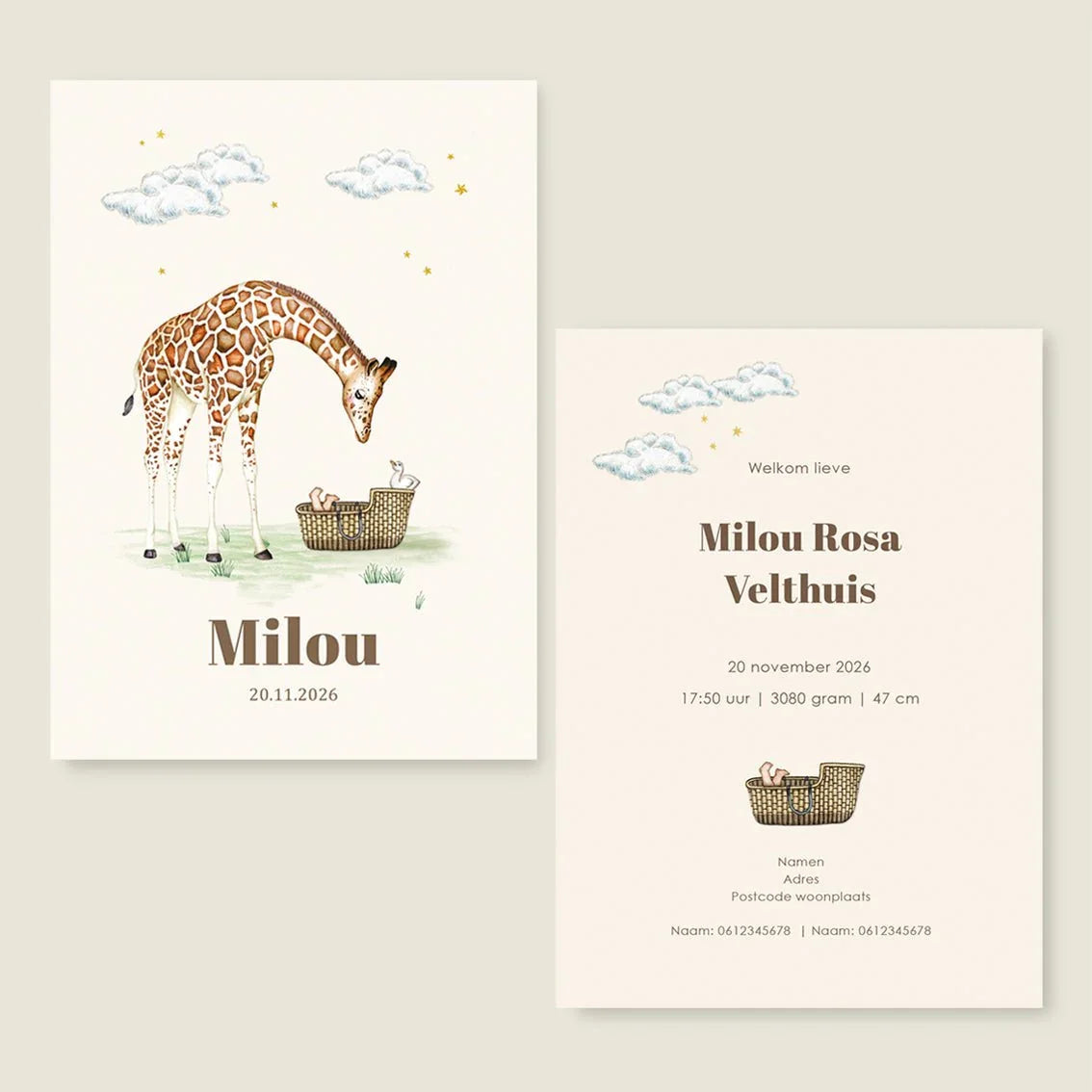 Geboortekaartje Giraffe Basket Offwhite - Story of July