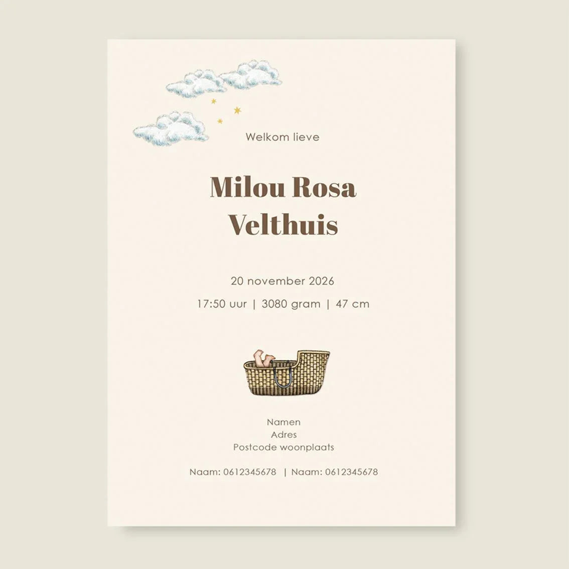 Geboortekaartje Giraffe Basket Offwhite - Story of July