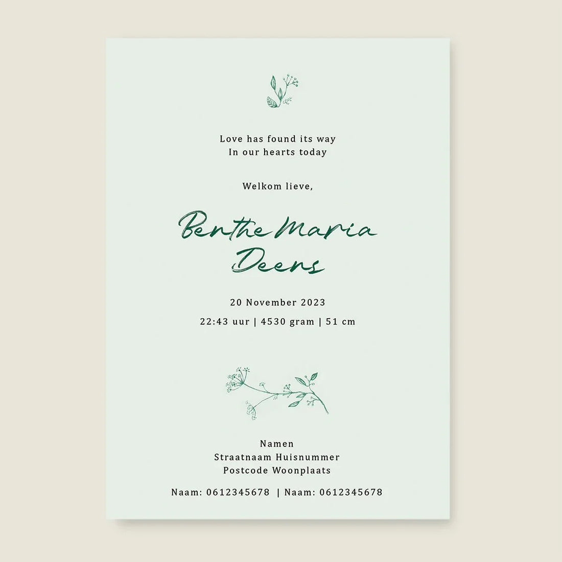 Geboortekaartje Little Elf Green - Story of July