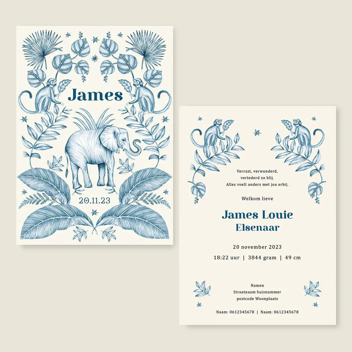 Geboortekaartje Elephant And The Monkey Blue - Story of July