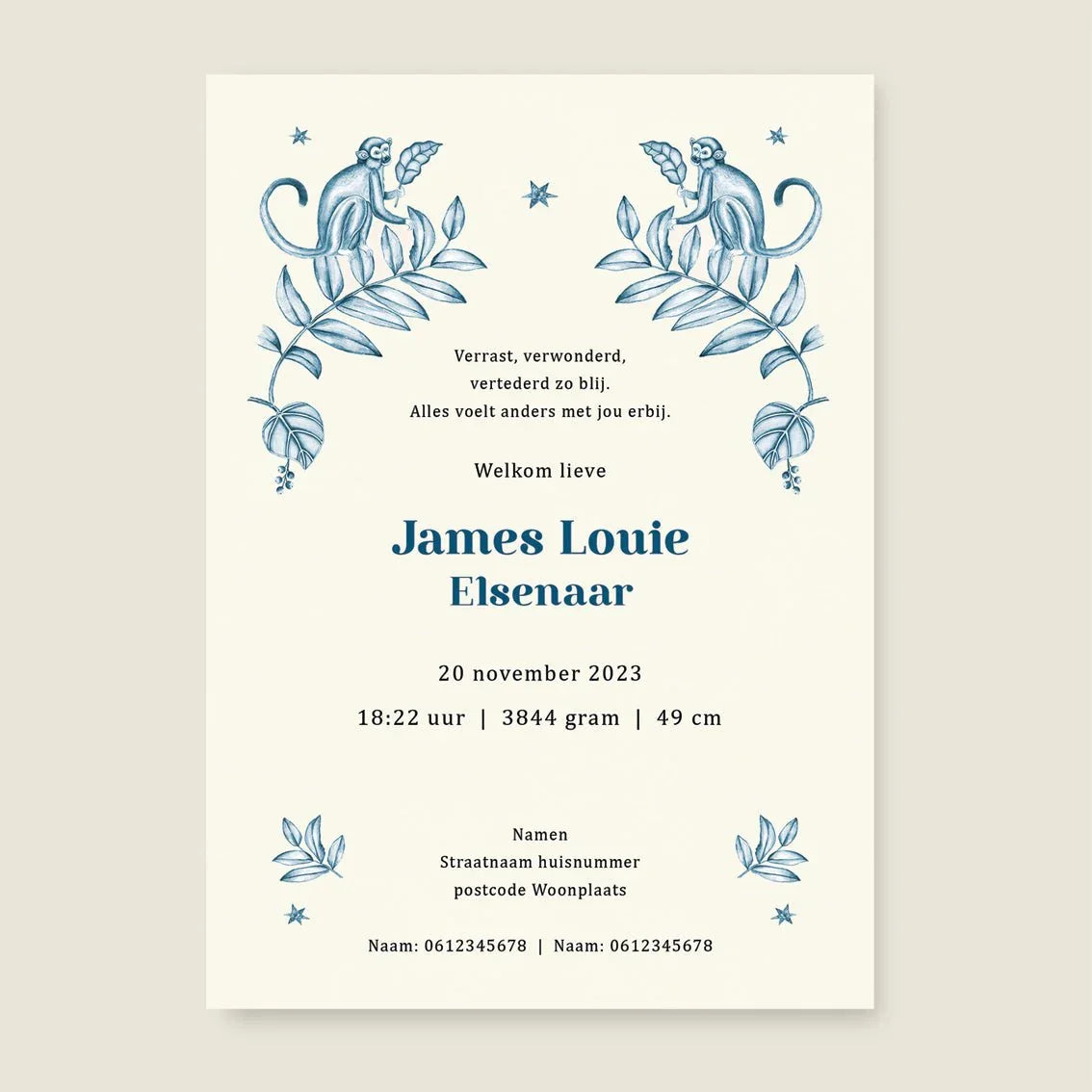 Geboortekaartje Elephant And The Monkey Blue - Story of July