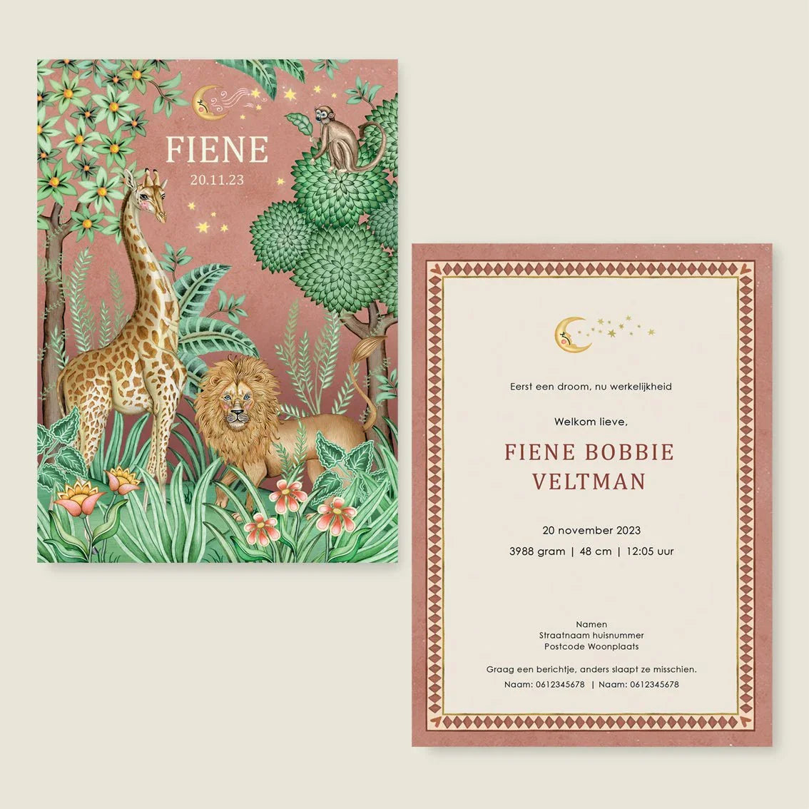 Geboortekaartje Lion And The Giraffe Terra - Story of July