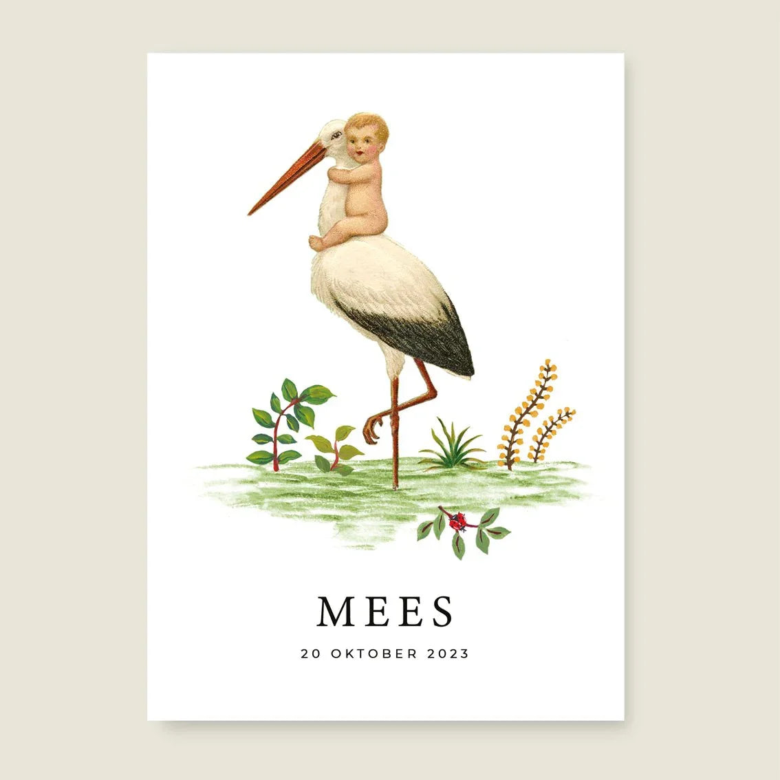 Geboortekaartje The Stork - Story of July