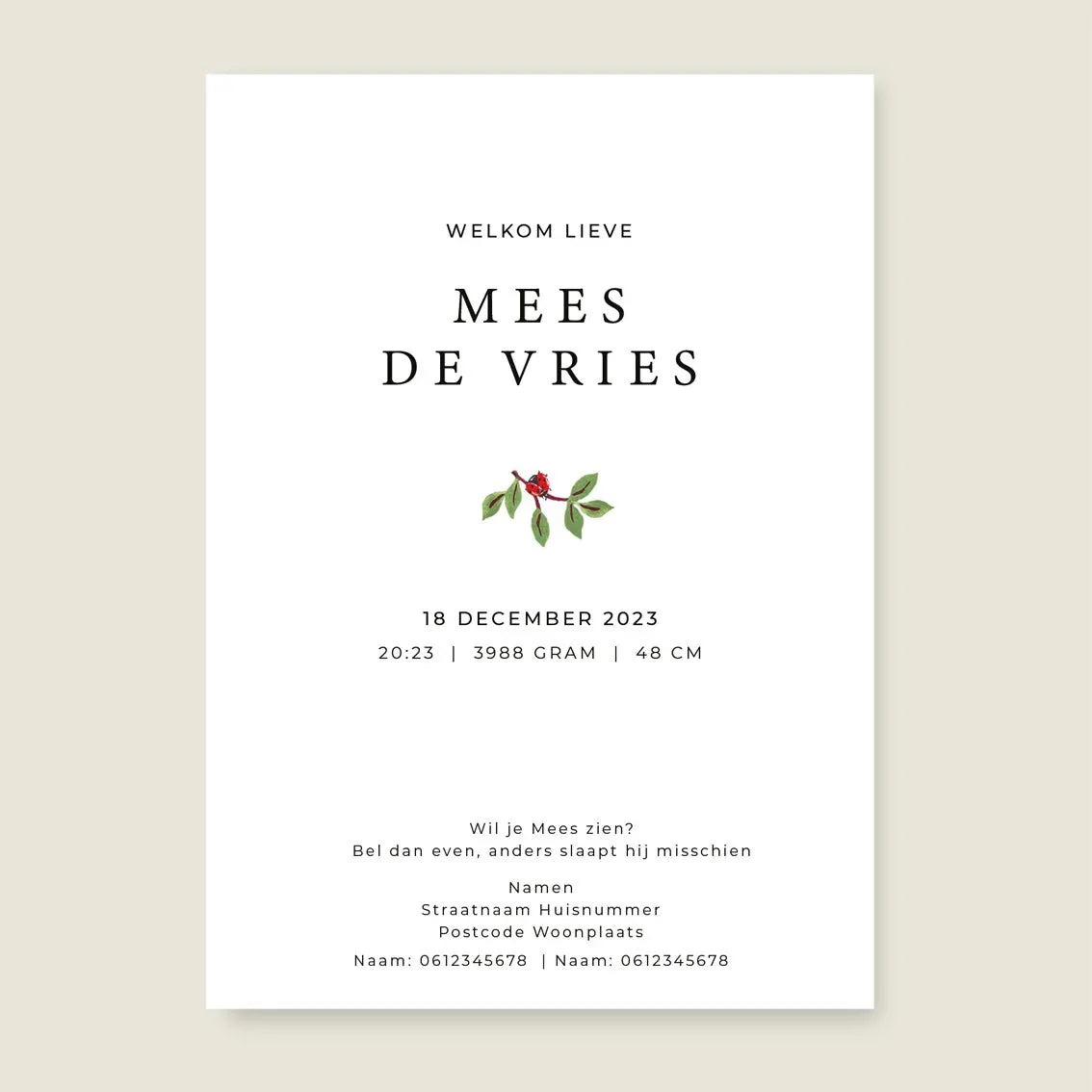 Geboortekaartje The Stork - Story of July