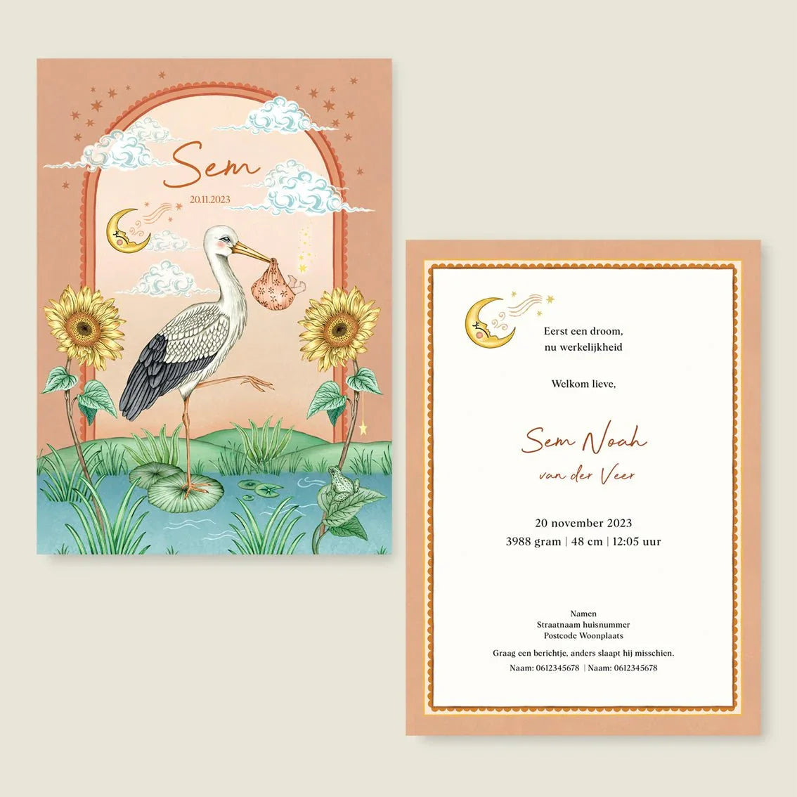 Sample Stork And Baby Terra - Story of July