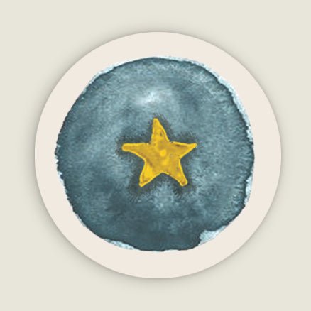 Sluitzegel Star - Story of July