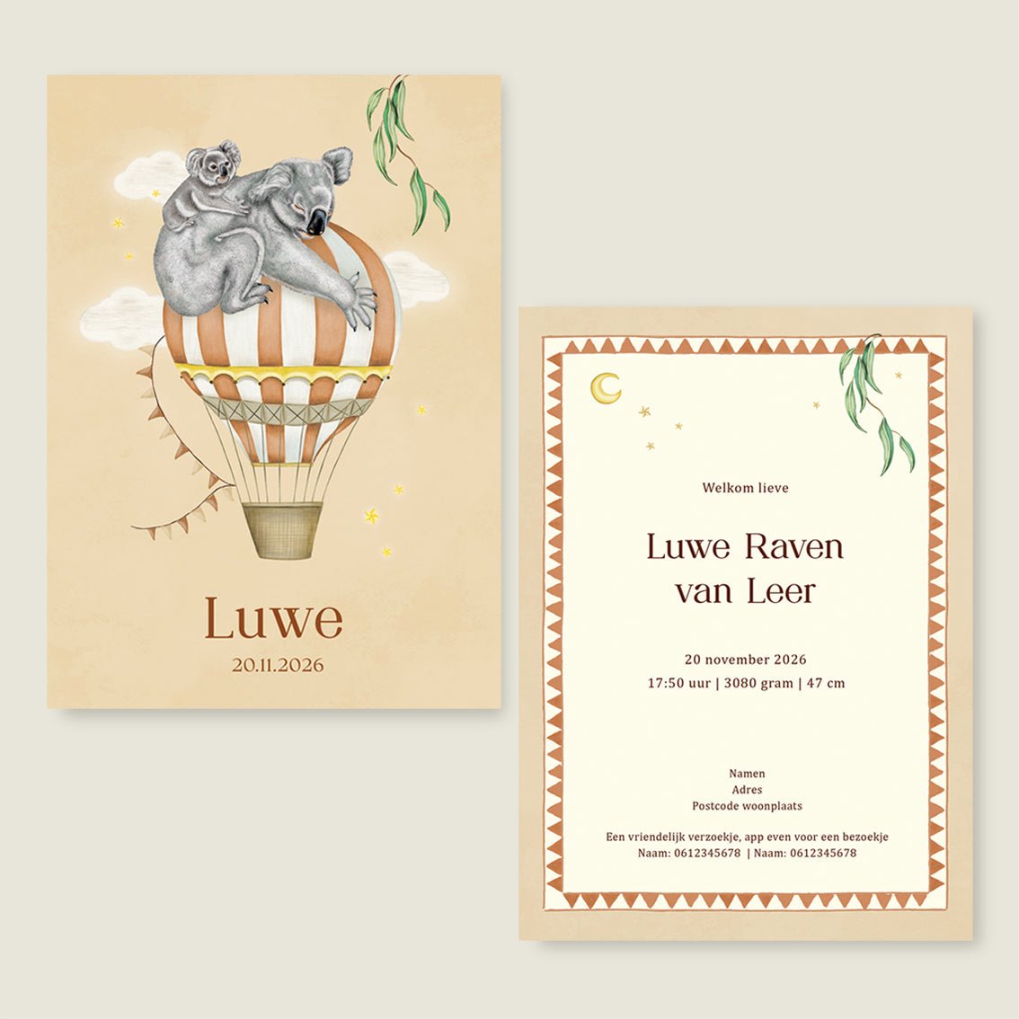 Geboortekaartje Balloon Koala Terra - Story of July