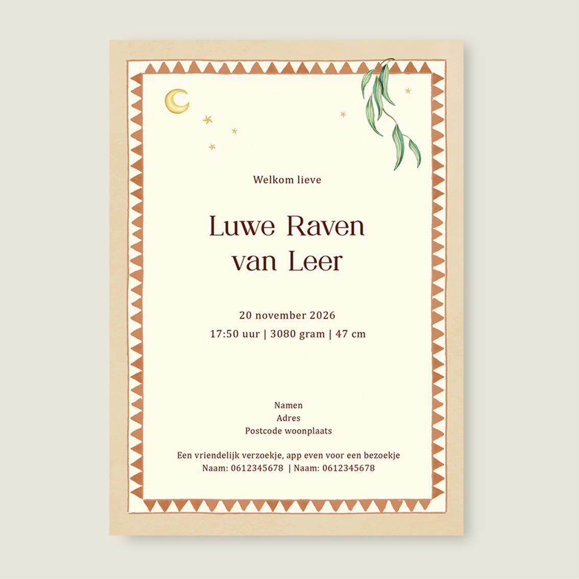 Geboortekaartje Balloon Koala Terra - Story of July