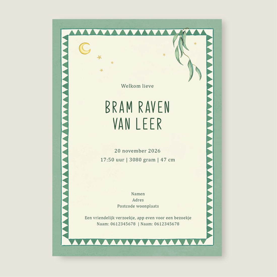 Geboortekaartje Basket Balloon Lightgreen - Story of July