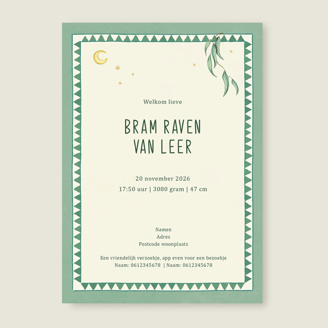 Geboortekaartje Basket Balloon Lightgreen - Story of July