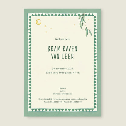 Geboortekaartje Basket Balloon Lightgreen - Story of July