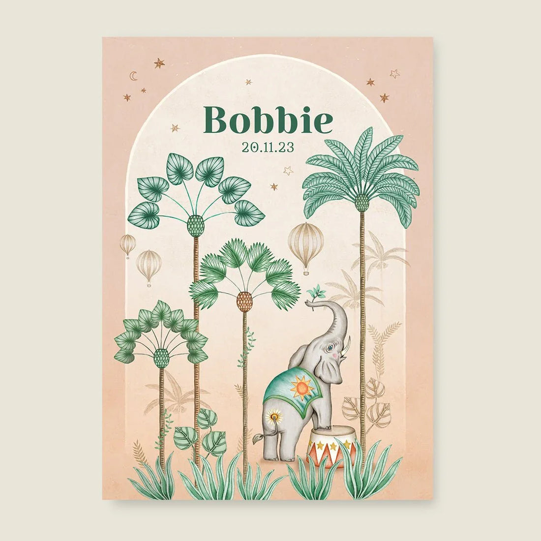 Geboortekaartje Circus Palms Terra - Story of July