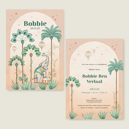 Geboortekaartje Circus Palms Terra - Story of July