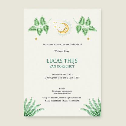 Geboortekaartje Cute Tiger Light Green - Story of July