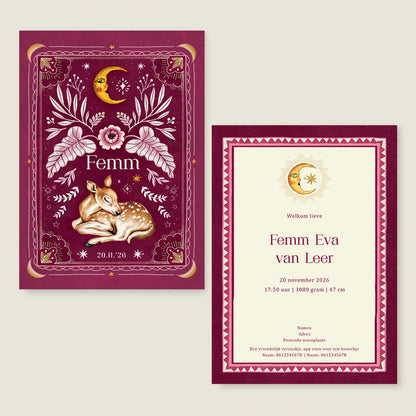 Geboortekaartje Dear Moon Red - Story of July