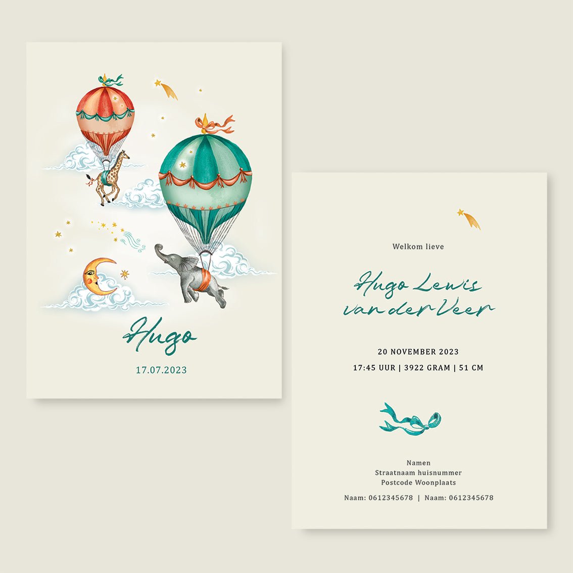 Geboortekaartje Elephant And Giraffe - Story of July