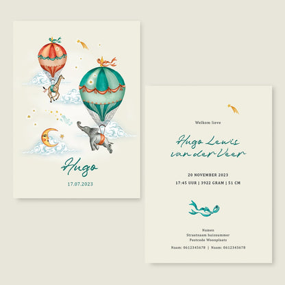 Geboortekaartje Elephant And Giraffe - Story of July