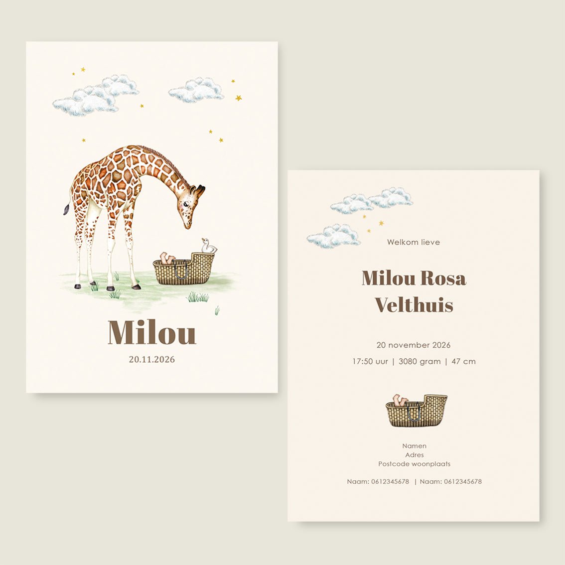 Geboortekaartje Giraffe Basket Offwhite - Story of July