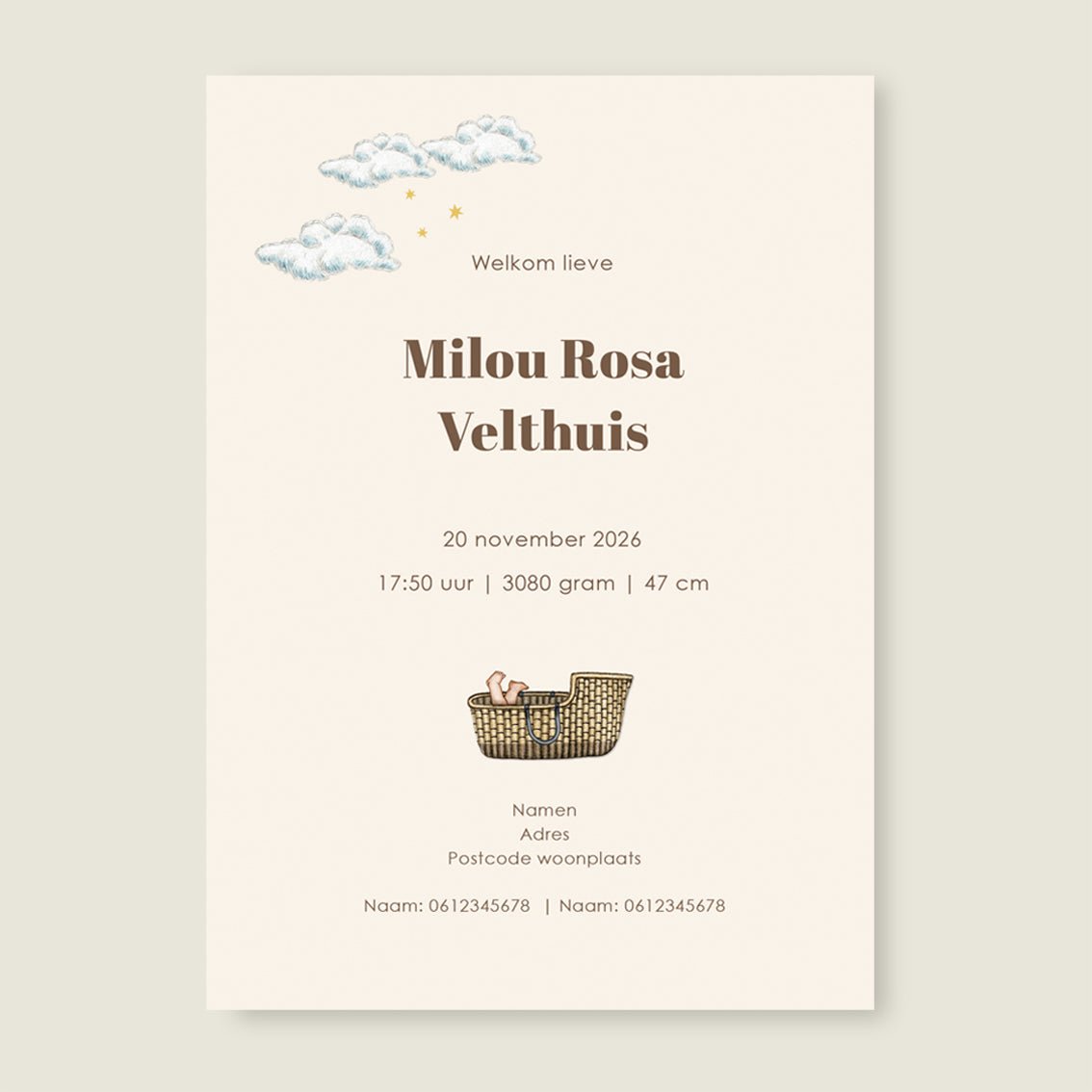 Geboortekaartje Giraffe Basket Offwhite - Story of July