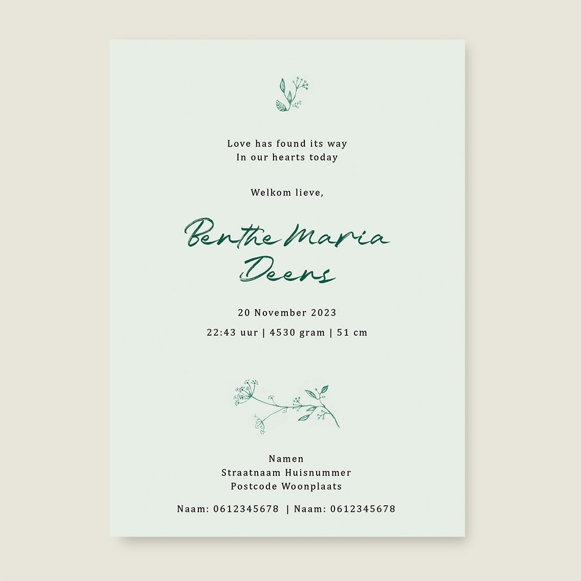 Geboortekaartje Little Elf Green - Story of July