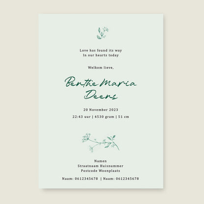 Geboortekaartje Little Elf Green - Story of July