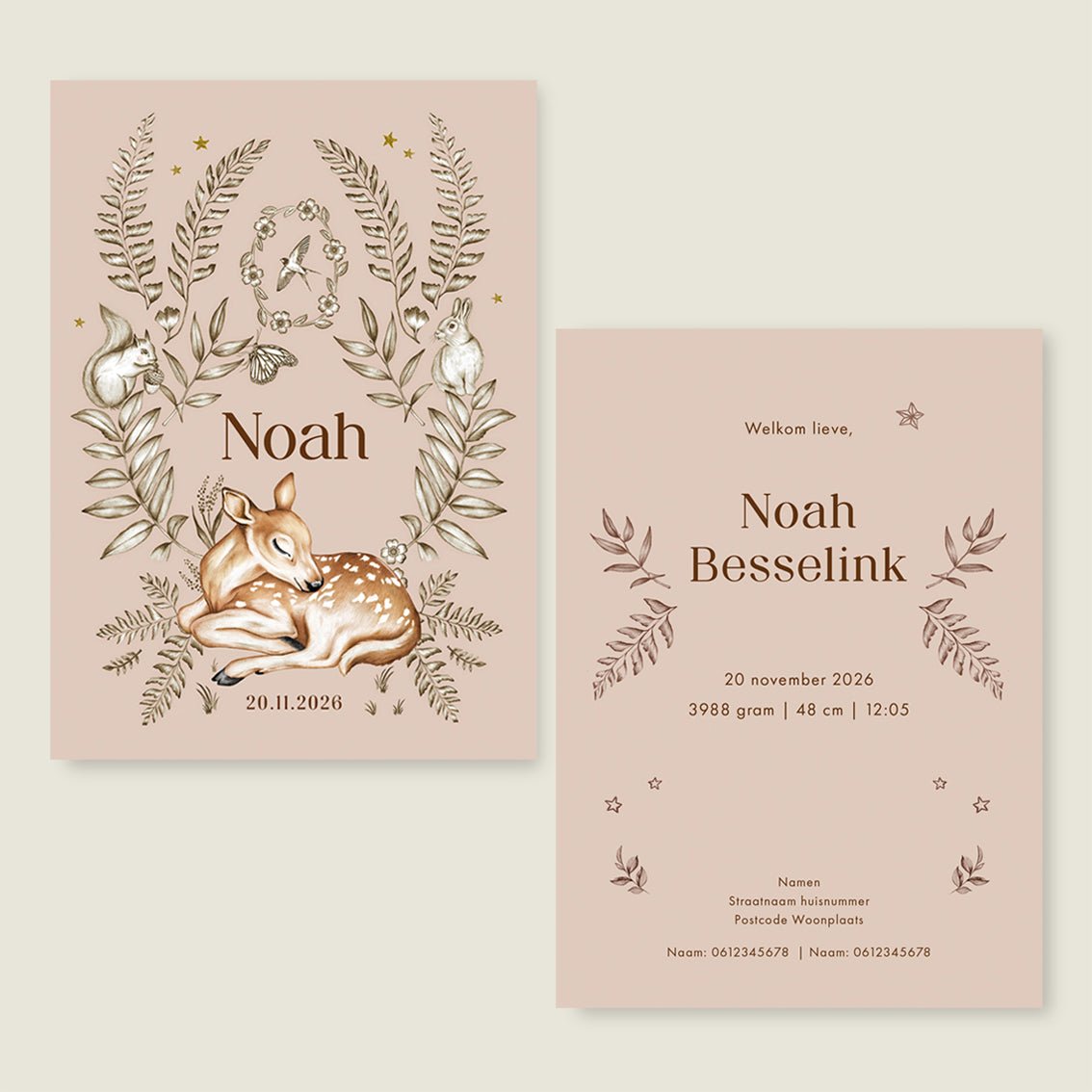 Geboortekaartje Oh Little Deer Terra - Story of July