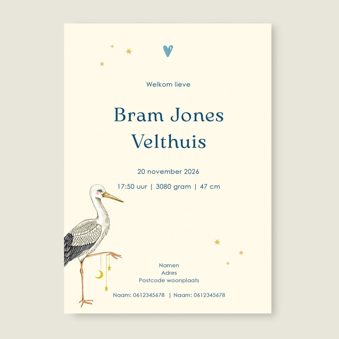 Geboortekaartje Stork Basket - Story of July