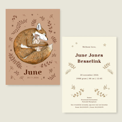 Sample Sleeping Fox Terra - Story of July