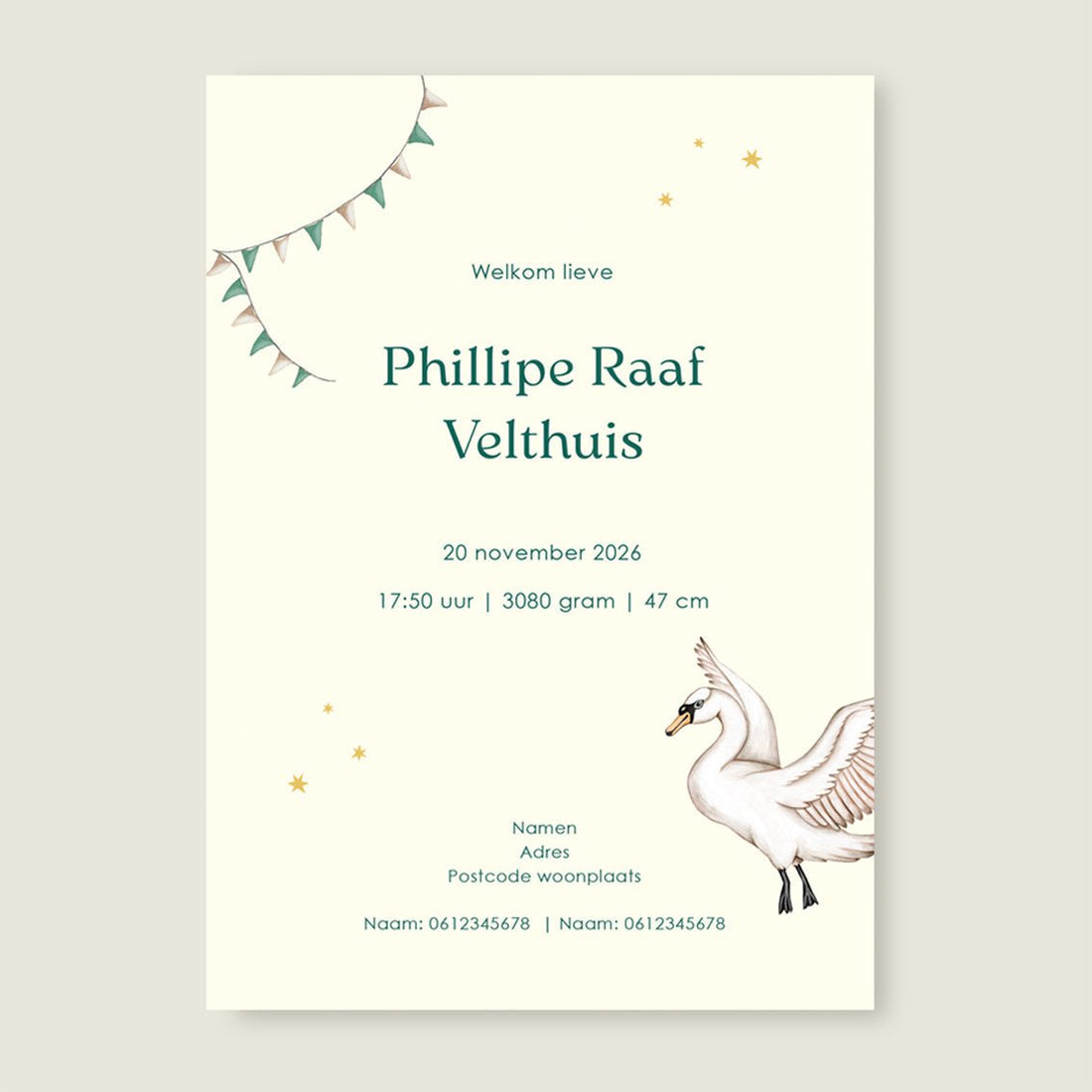 Sample Swan Basket Green - Story of July