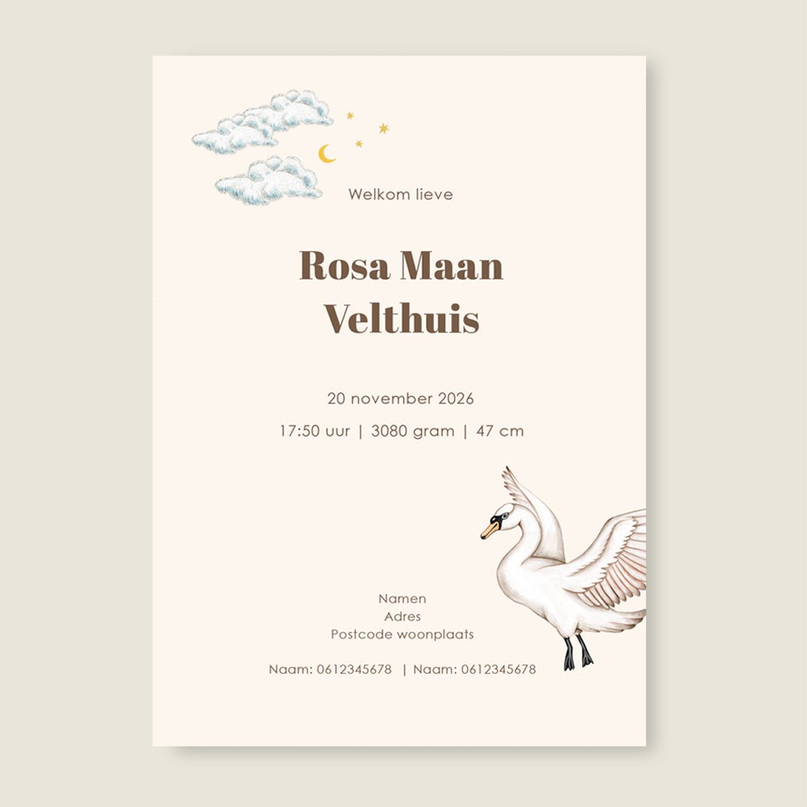 Sample Swan Basket Offwhite - Story of July