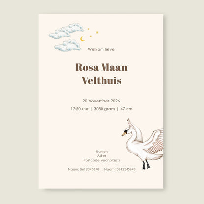 Sample Swan Basket Offwhite - Story of July