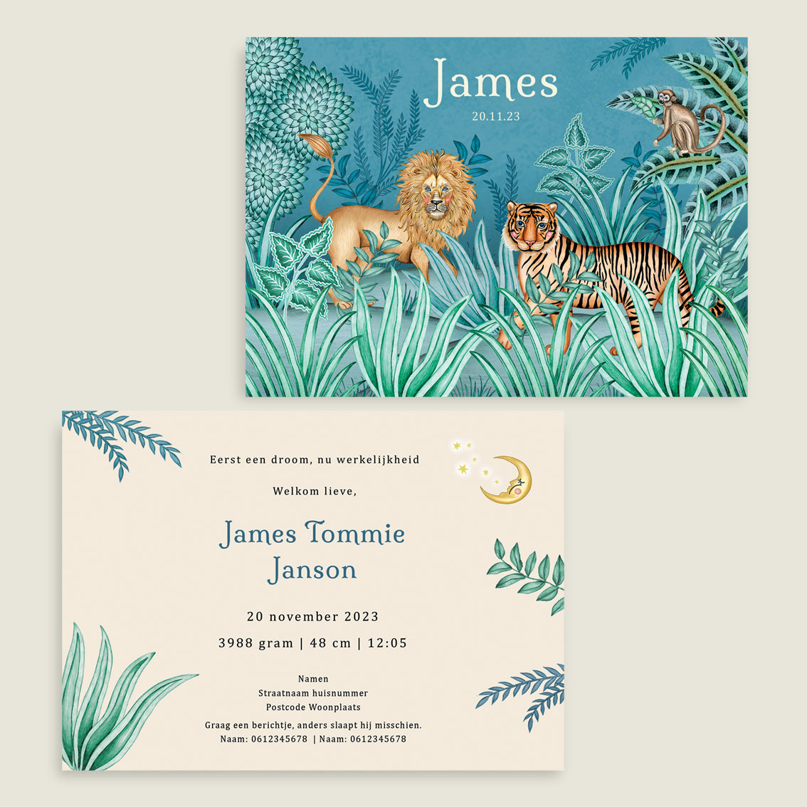 Sample Lion and the tiger blue