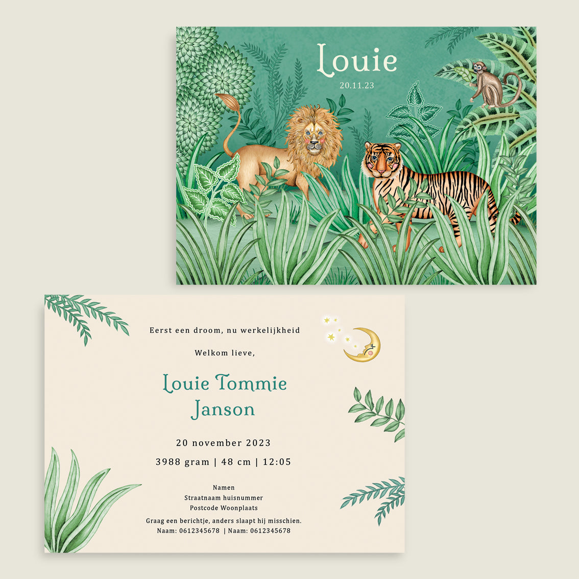 Sample Lion and the tiger green