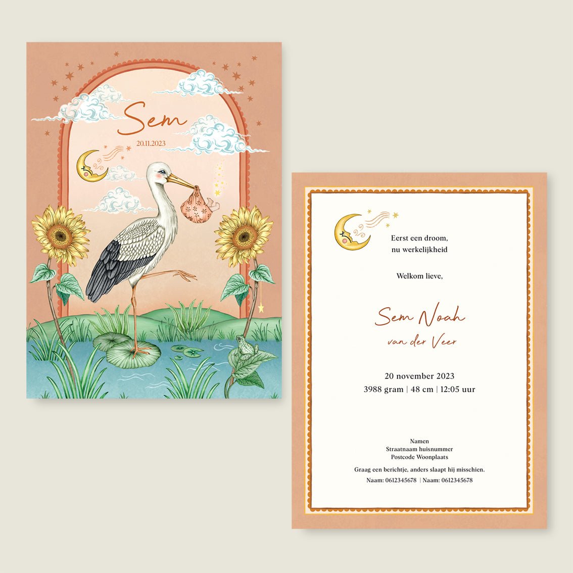 Geboortekaartje Stork And Baby Terra - Story of July