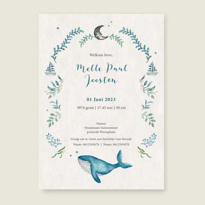 Geboortekaartje The Blue Whale - Story of July