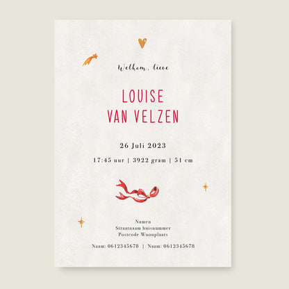 Geboortekaartje The Red Balloon - Story of July