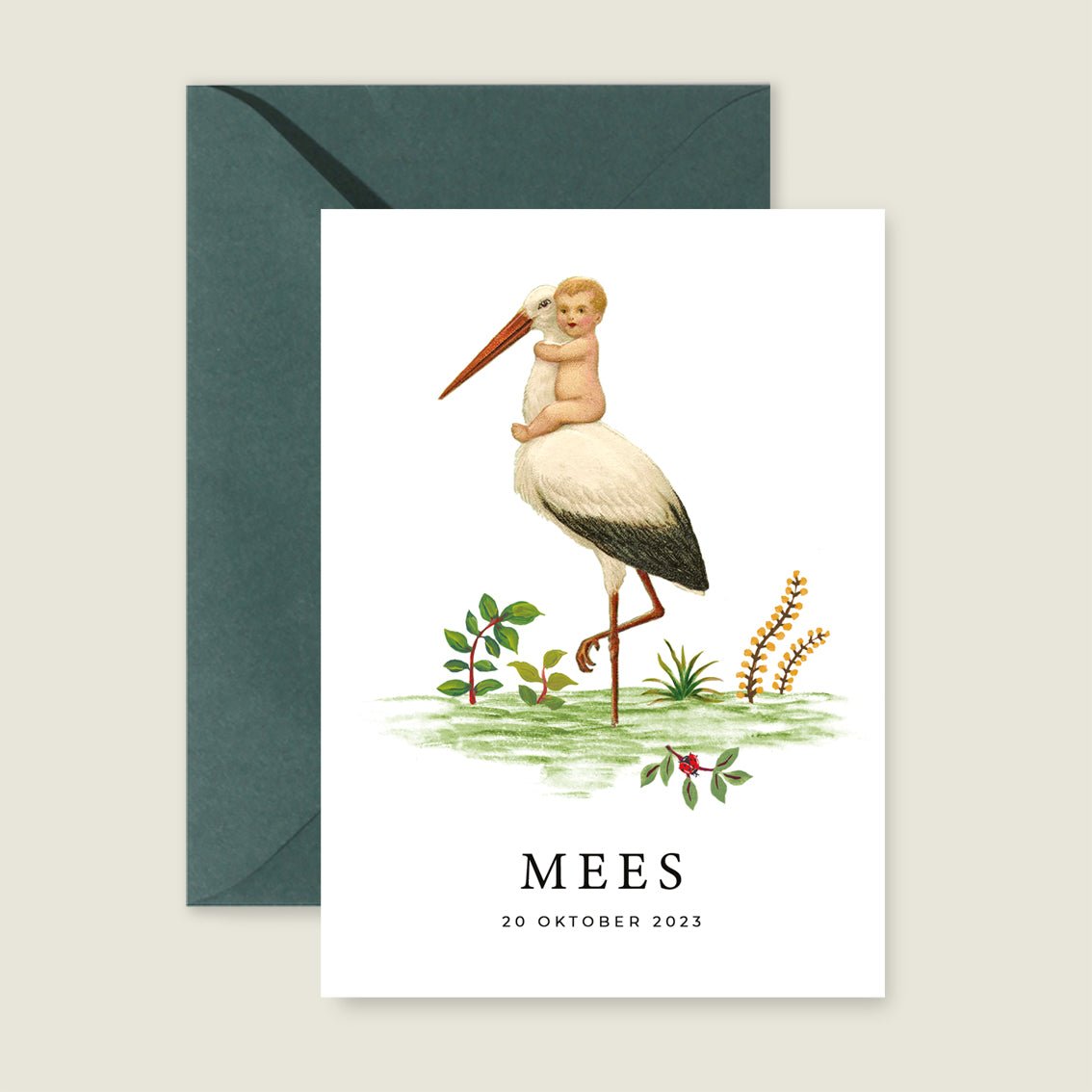 Geboortekaartje The Stork - Story of July