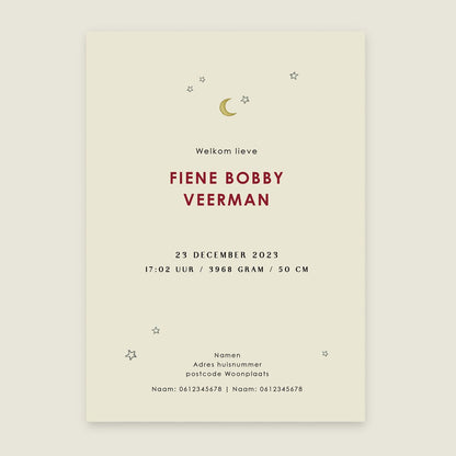 Geboortekaartje Zebra Balloon Orange - Story of July