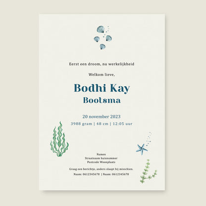 Sample Cheeky Otters Lake - Story of July