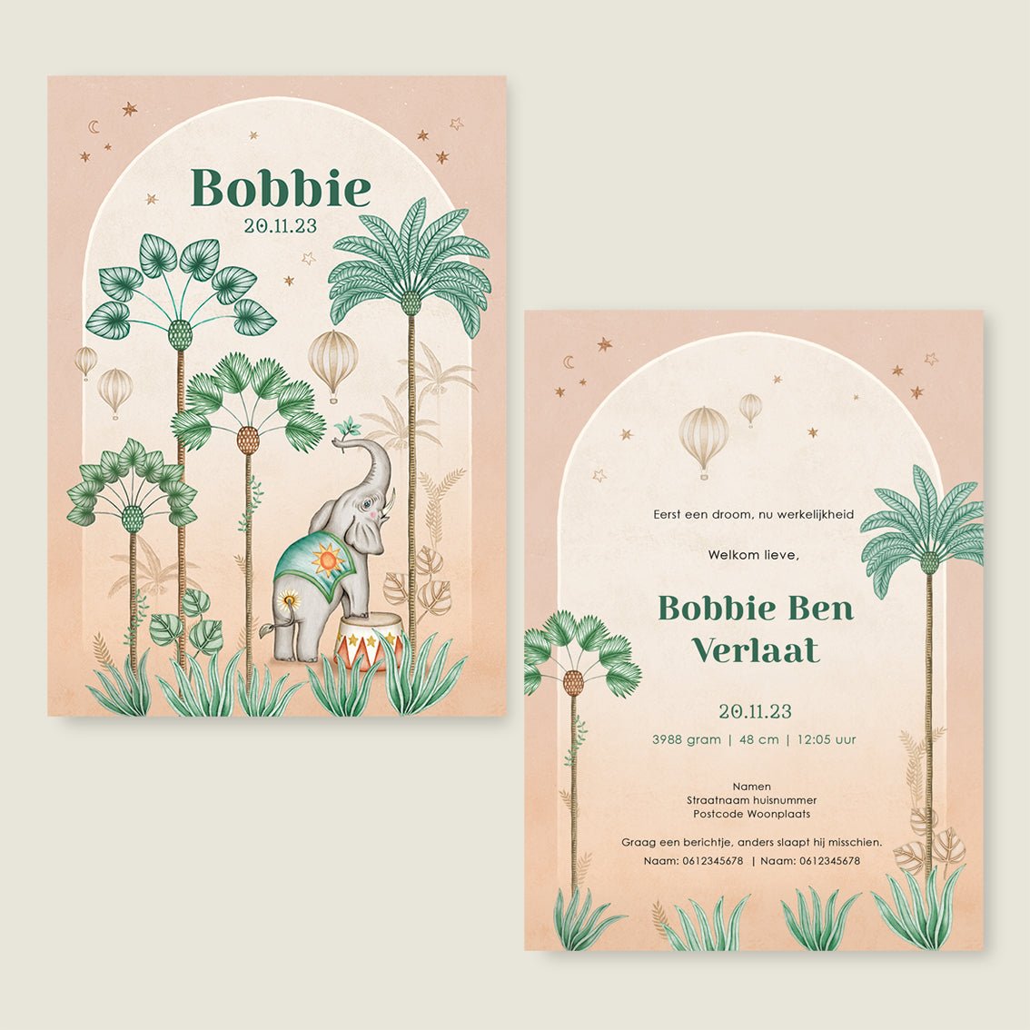 Sample Circus Palms Terra - Story of July