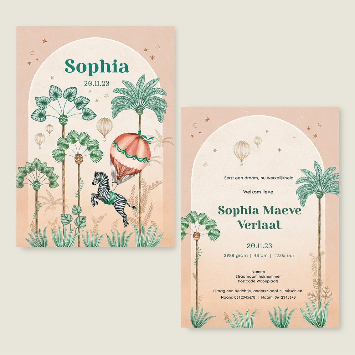 Sample Jumping Zebra Terra - Story of July