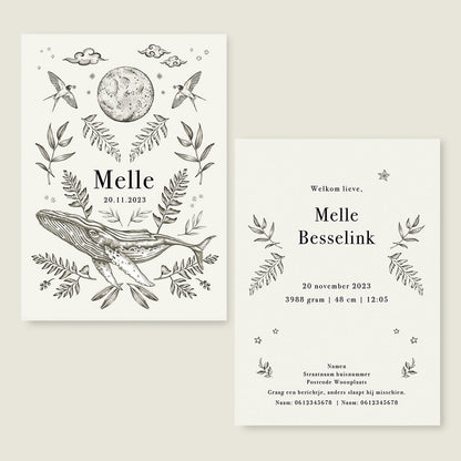 Sample Nature Whale - Story of July