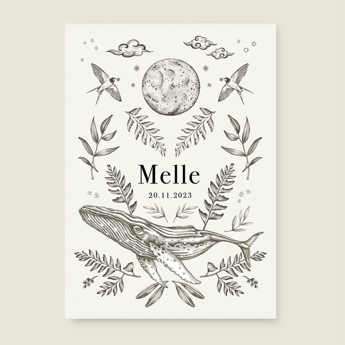 Sample Nature Whale - Story of July