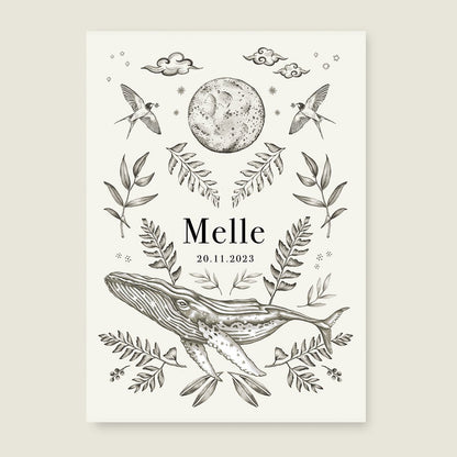 Sample Nature Whale - Story of July